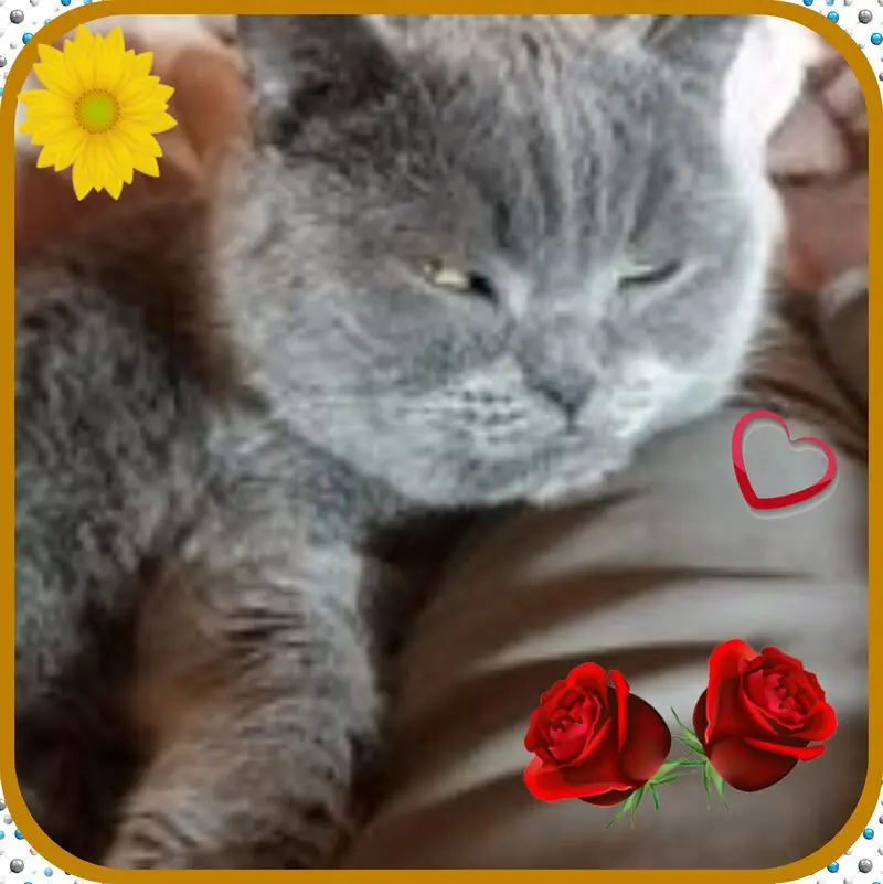 Condolence image of ❤Eike und Edeltraud mit unseren Sternchen tief im Herzen ❤