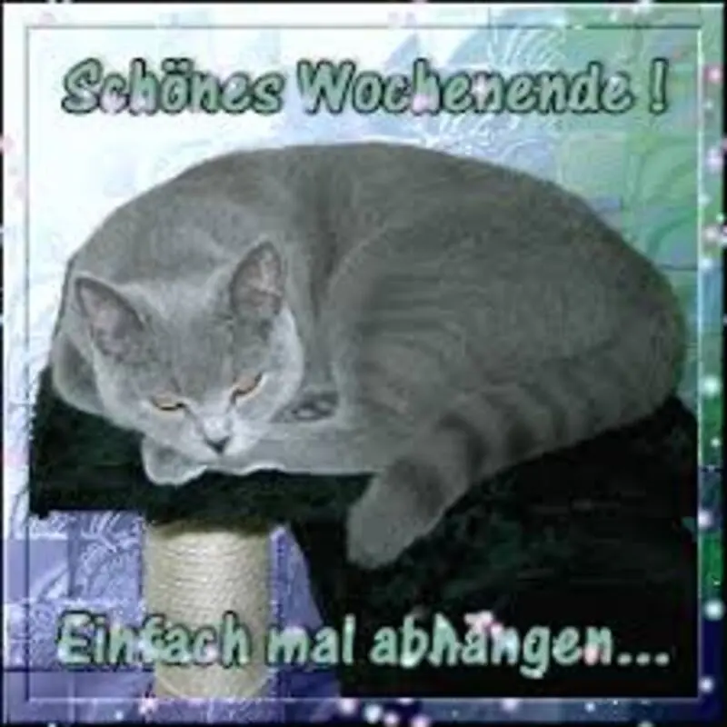 Condolence image of Tanja mit Timmy im Herzen