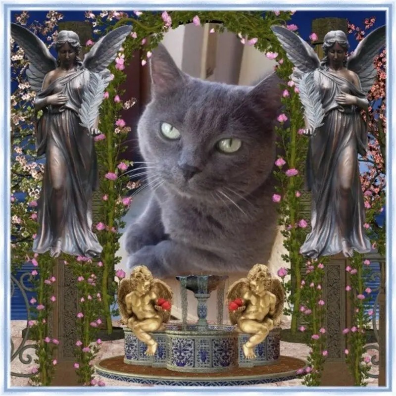 Condolence image of gerlinde