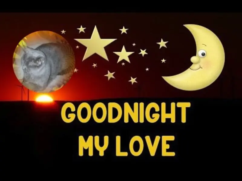 Condolence image of Gute Nacht❤️❤️❤️