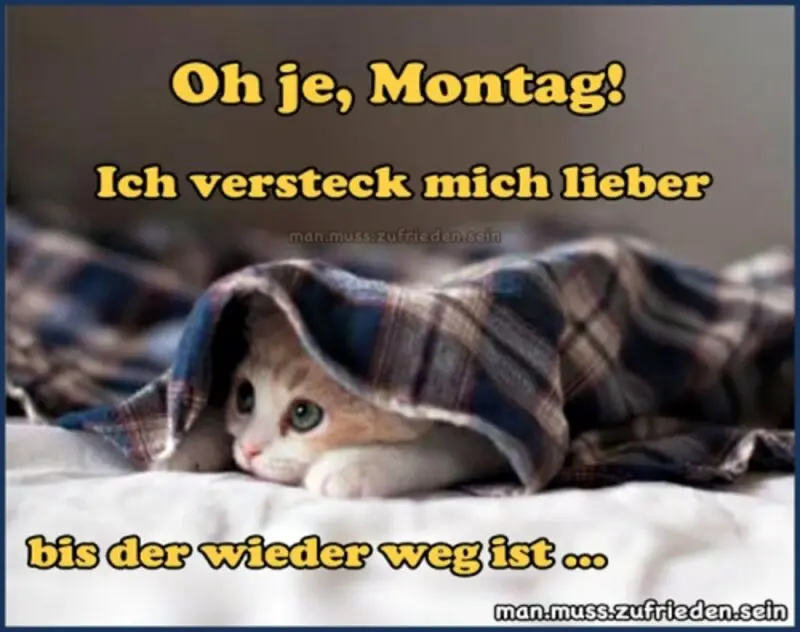 Condolence image of Tanja mit Timmy im Herzen 