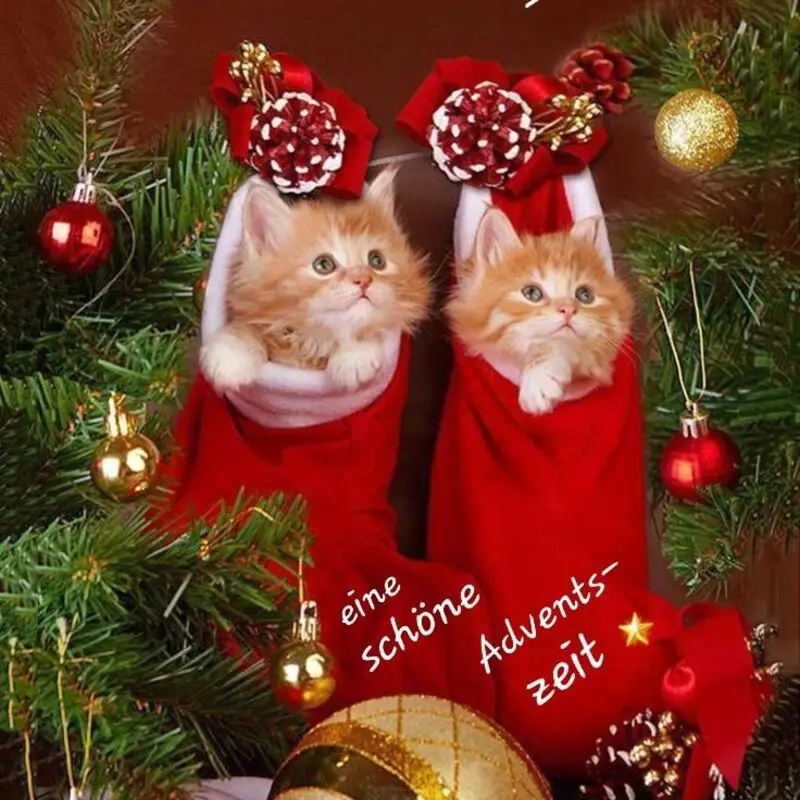Condolence image of 1. Advent꧁❤️