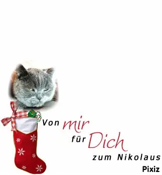 Condolence image of Tanja mit Timmy im Herzen