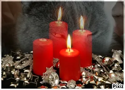 Condolence image of Tanja mit Timmy im Herzen