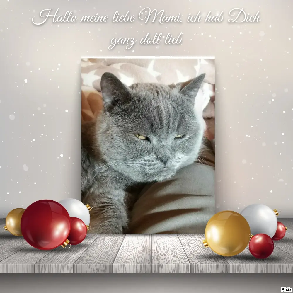 Condolence image of Post von Bärchen