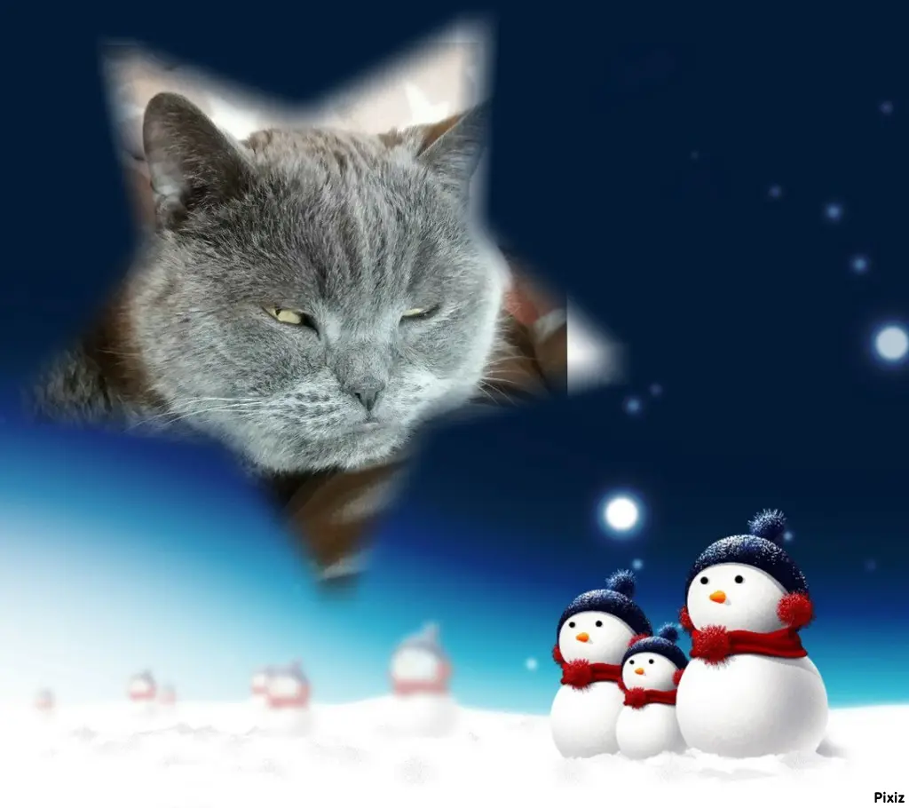 Condolence image of Tanja mit Timmy im Herzen