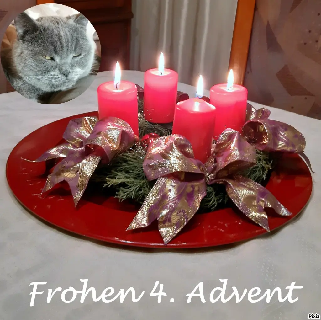 Condolence image of Tanja mit Timmy im Herzen