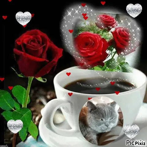 Condolence image of Tanja mit Timmy im Herzen