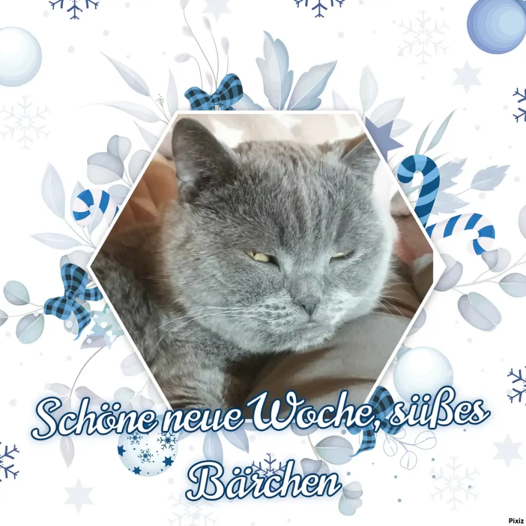 Condolence image of Tanja mit Timmy im Herzen