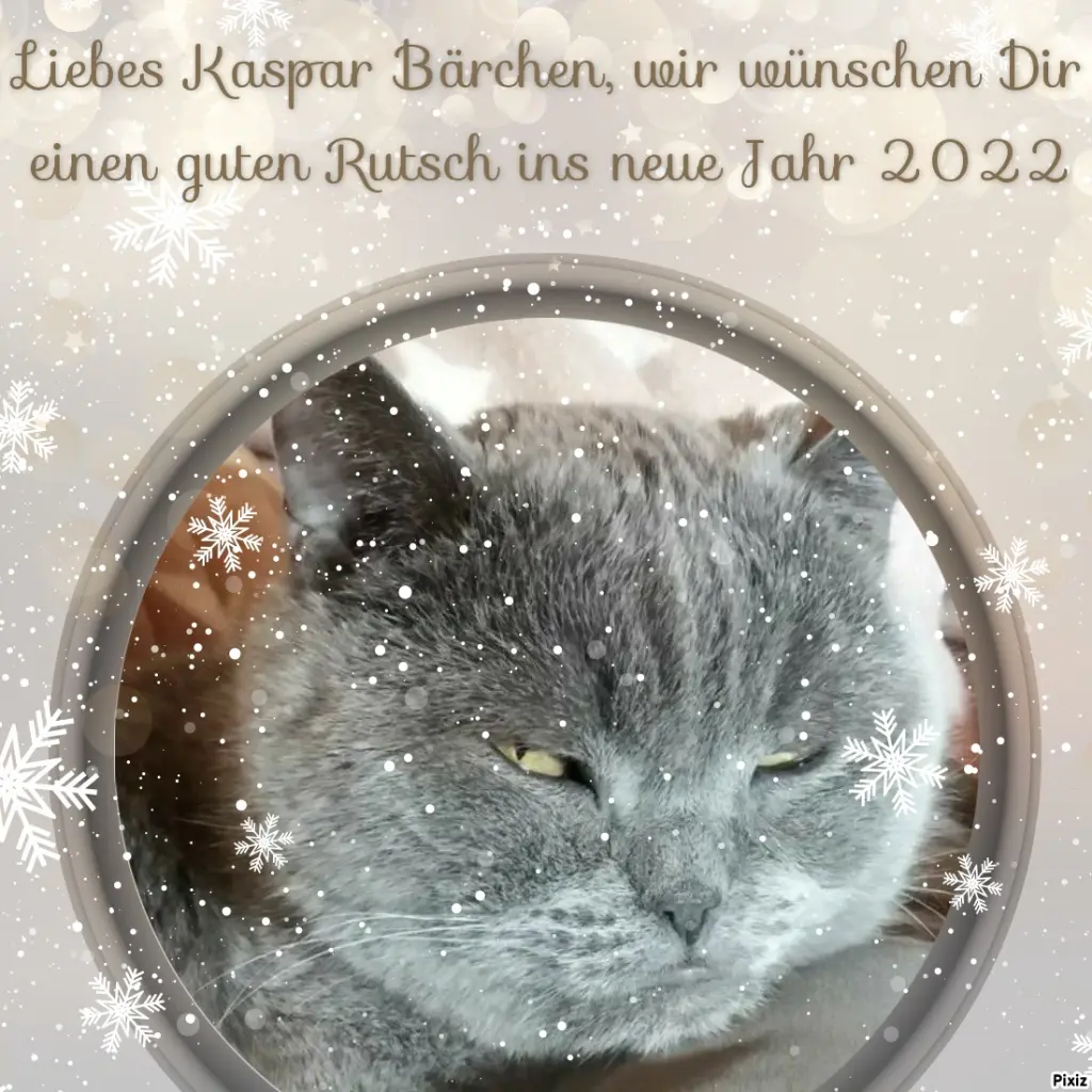 Condolence image of Tanja mit Timmy im Herzen