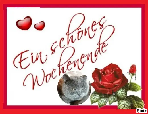 Condolence image of Tanja mit Timmy im Herzen