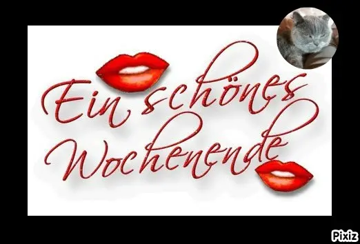 Condolence image of Tanja mit Timmy im Herzen