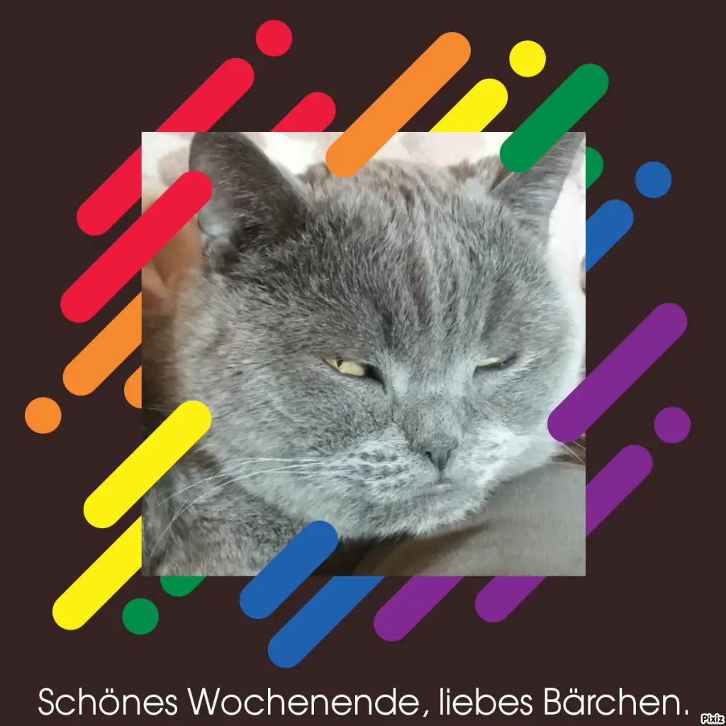 Condolence image of Tanja mit Timmy im Herzen
