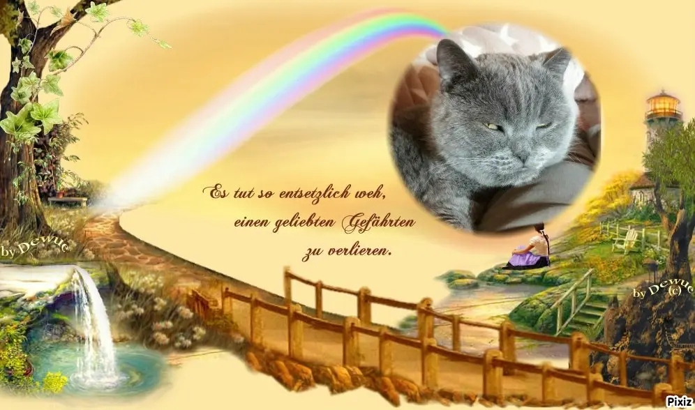 Condolence image of Tanja mit Timmy im Herzen