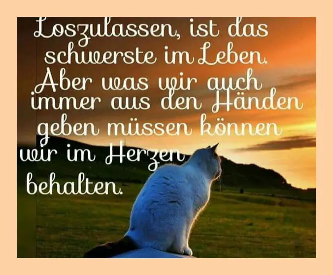 Condolence image of Frauchen꧁❤️