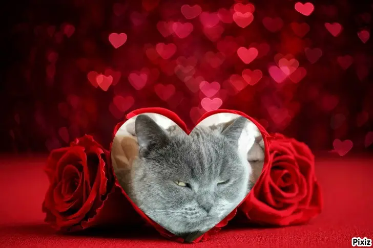 Condolence image of Tanja mit Timmy im Herzen