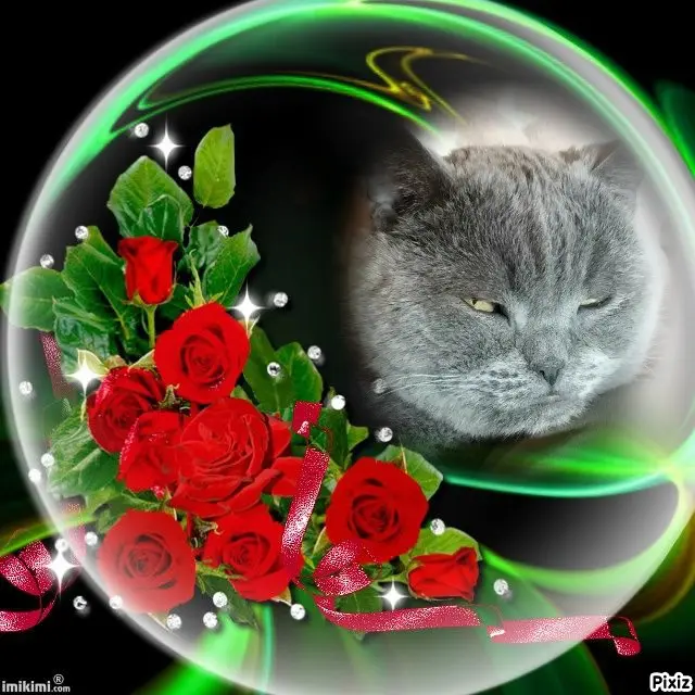 Condolence image of Tanja mit Timmy im Herzen