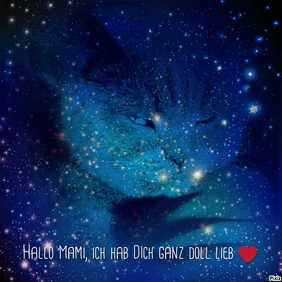 Condolence image of Post von Bärchen 