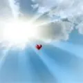 Condolence image of Kater Willi Wonka