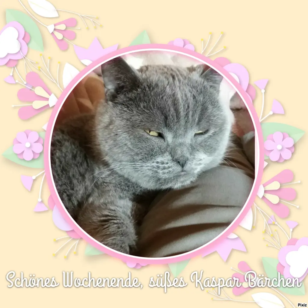 Condolence image of Tanja mit Timmy im Herzen 