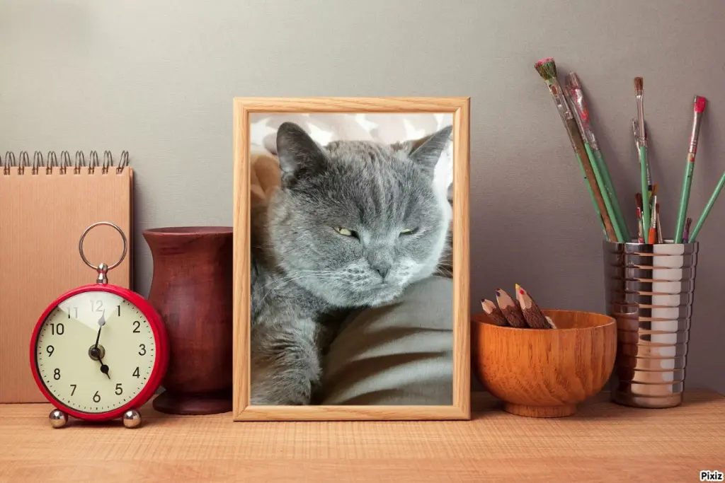 Condolence image of Tanja mit Timmy im Herzen 