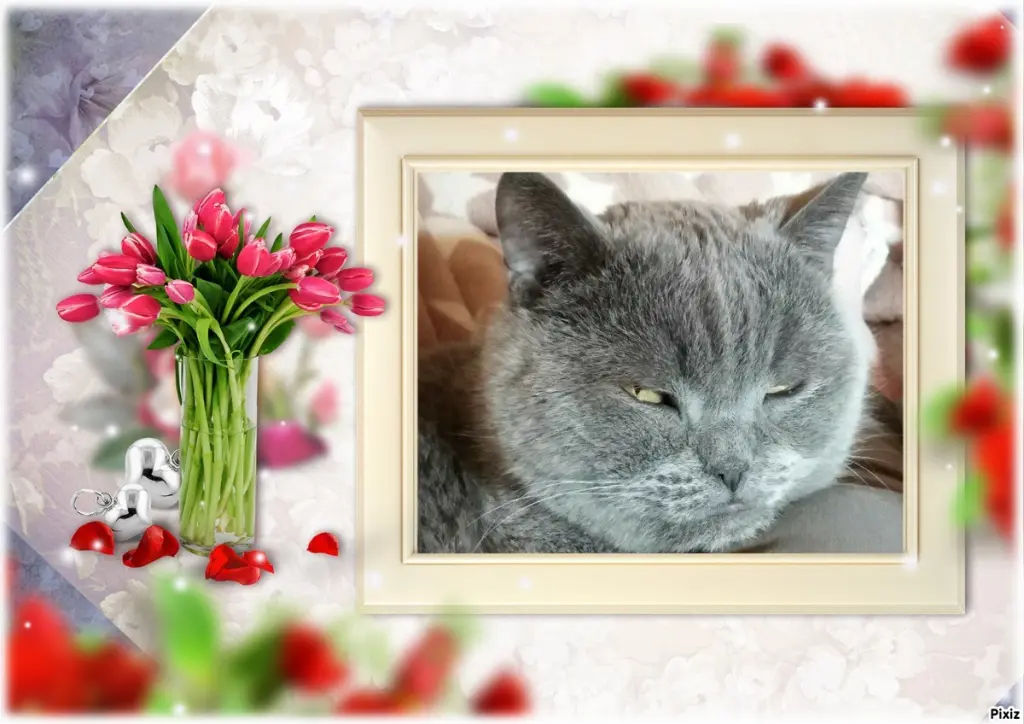 Condolence image of Tanja mit Timmy im Herzen 