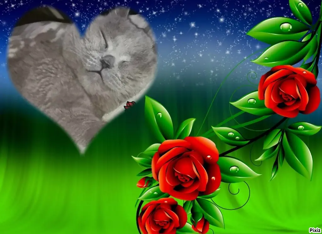 Condolence image of Tanja mit Timmy im Herzen 
