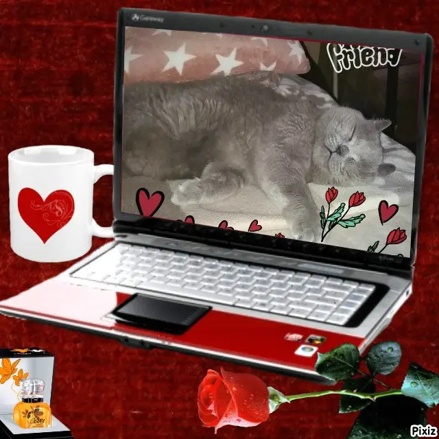 Condolence image of Tanja mit Timmy im Herzen