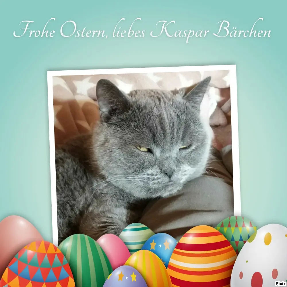 Condolence image of Tanja mit Timmy im Herzen