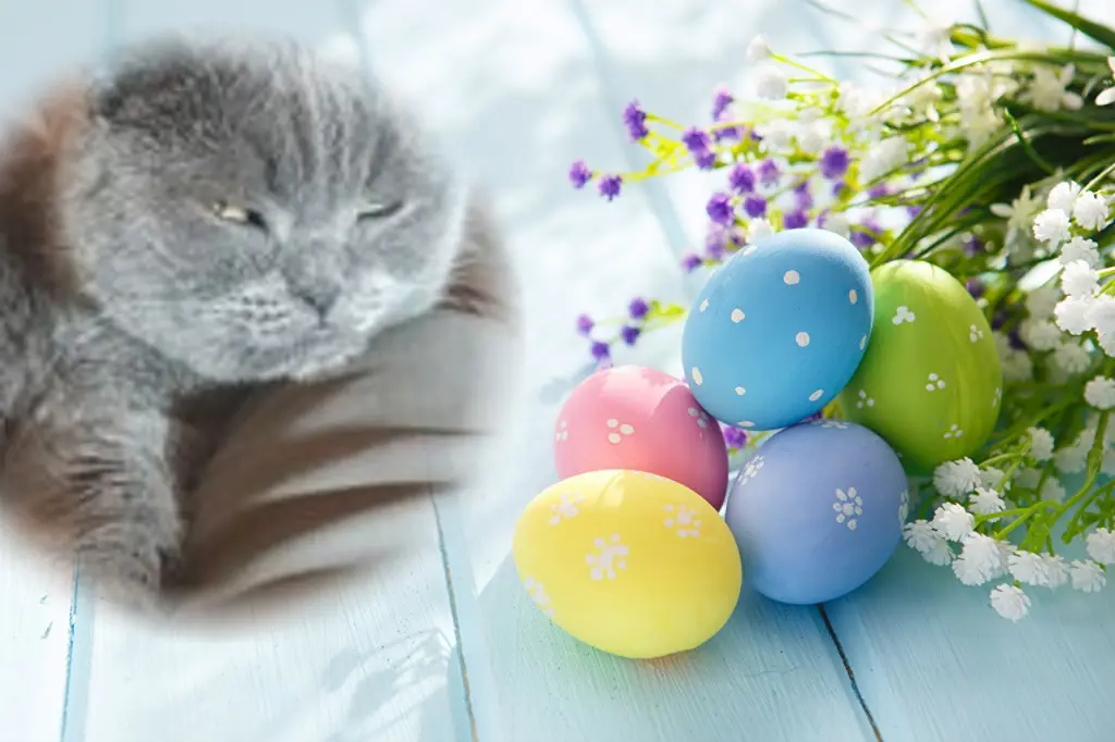 Condolence image of Frohe❤️❤️❤️Ostern❤️
