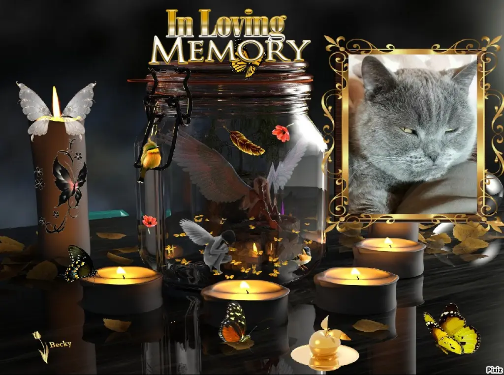 Condolence image of Tanja mit Timmy im Herzen
