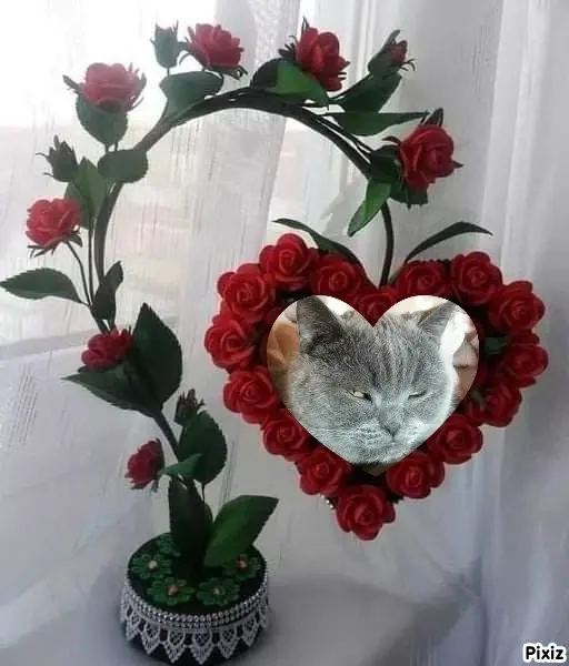 Condolence image of Tanja mit Timmy im Herzen