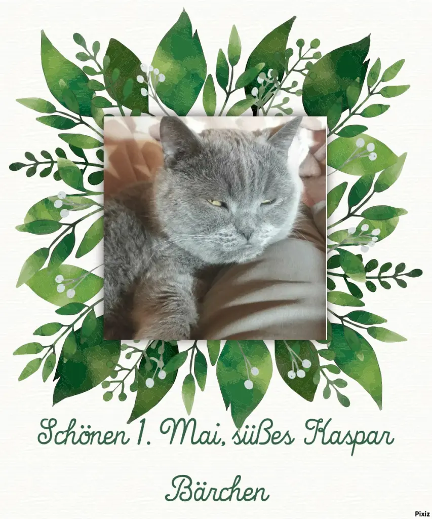 Condolence image of Tanja mit Timmy im Herzen