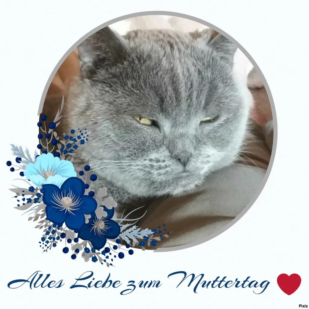 Condolence image of Post von Bärchen
