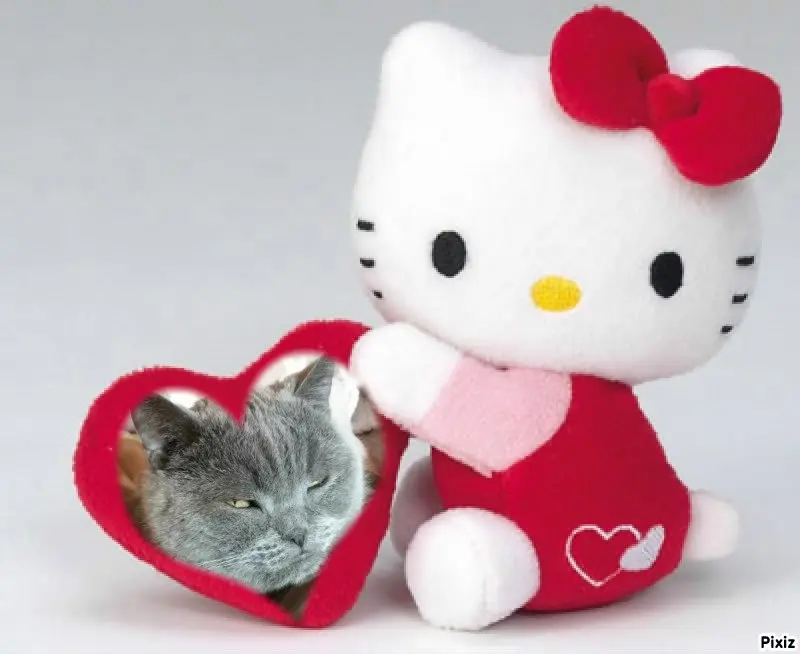 Condolence image of Tanja mit Timmy im Herzen