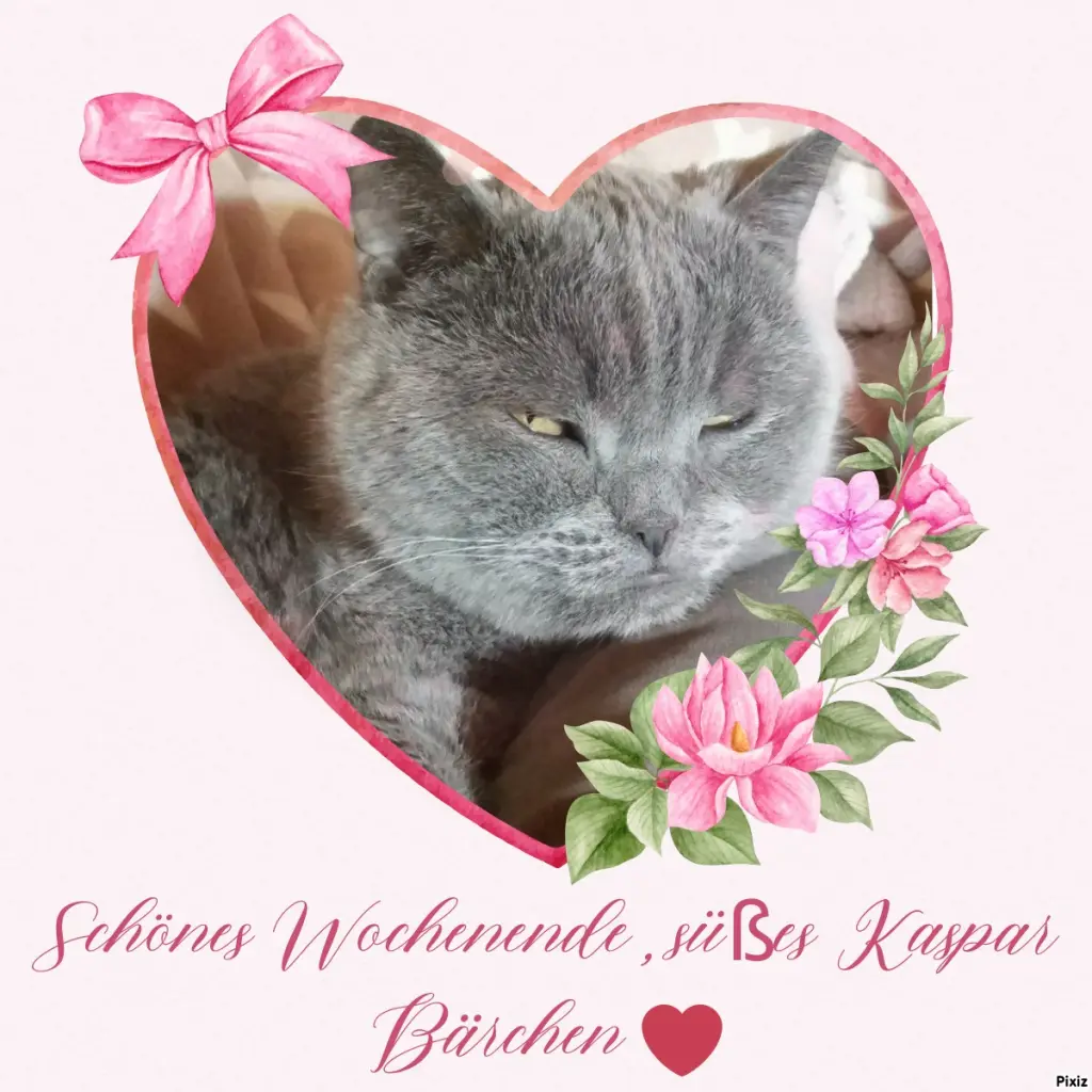 Condolence image of Tanja mit Timmy im Herzen