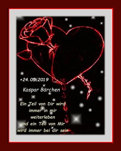 Condolence image of Frauchen❤️