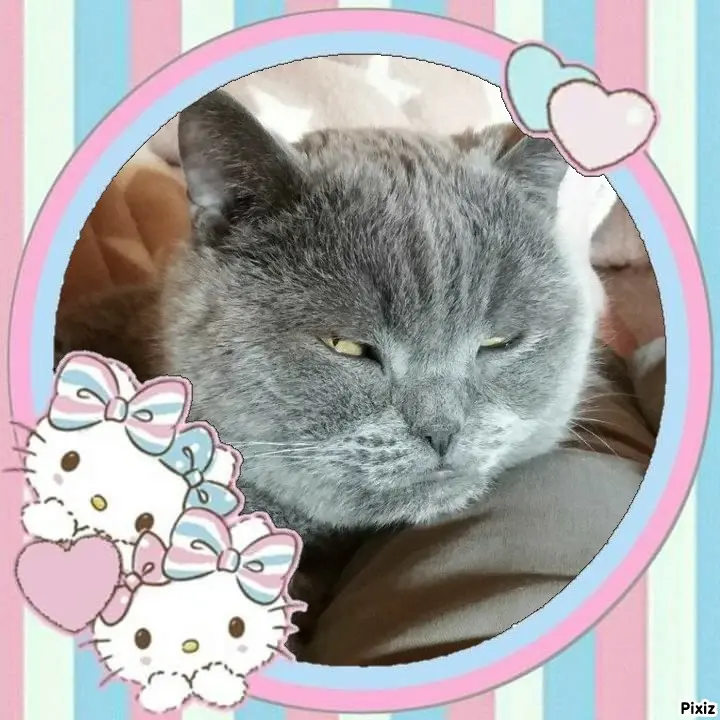 Condolence image of Tanja mit Timmy im Herzen
