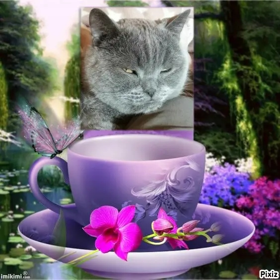 Condolence image of Tanja mit Timmy im Herzen