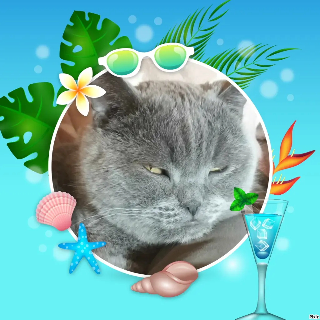Condolence image of Tanja mit Timmy im Herzen 