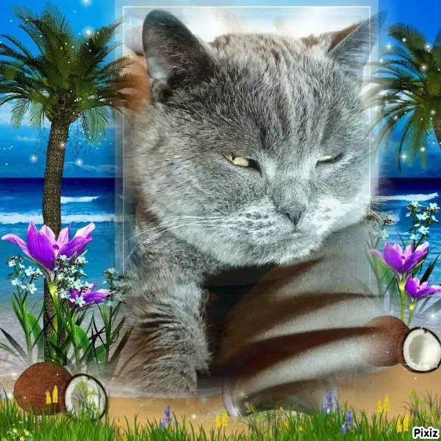 Condolence image of Tanja mit Timmy im Herzen 