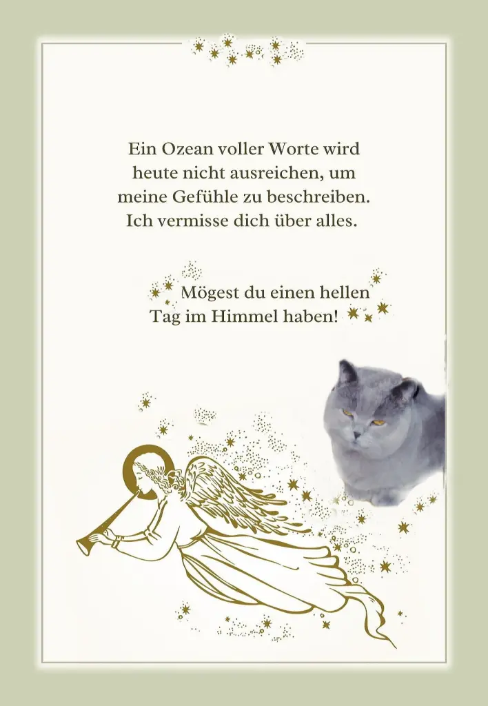 Condolence image of deiner Katzenmama ☸ڿڰۣ❤️