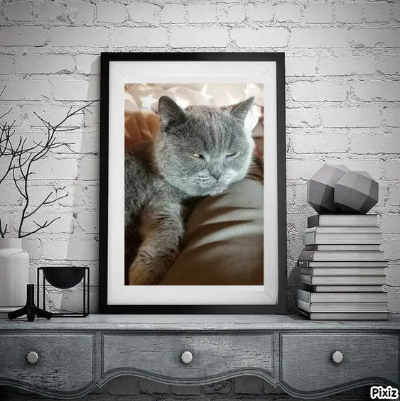 Condolence image of Tanja mit Timmy im Herzen