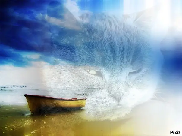 Condolence image of Tanja mit Timmy im Herzen