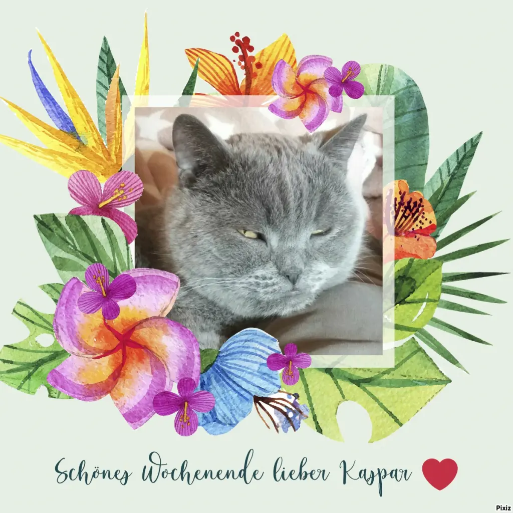 Condolence image of Tanja mit Timmy im Herzen