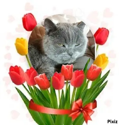 Condolence image of Tanja mit Timmy im Herzen