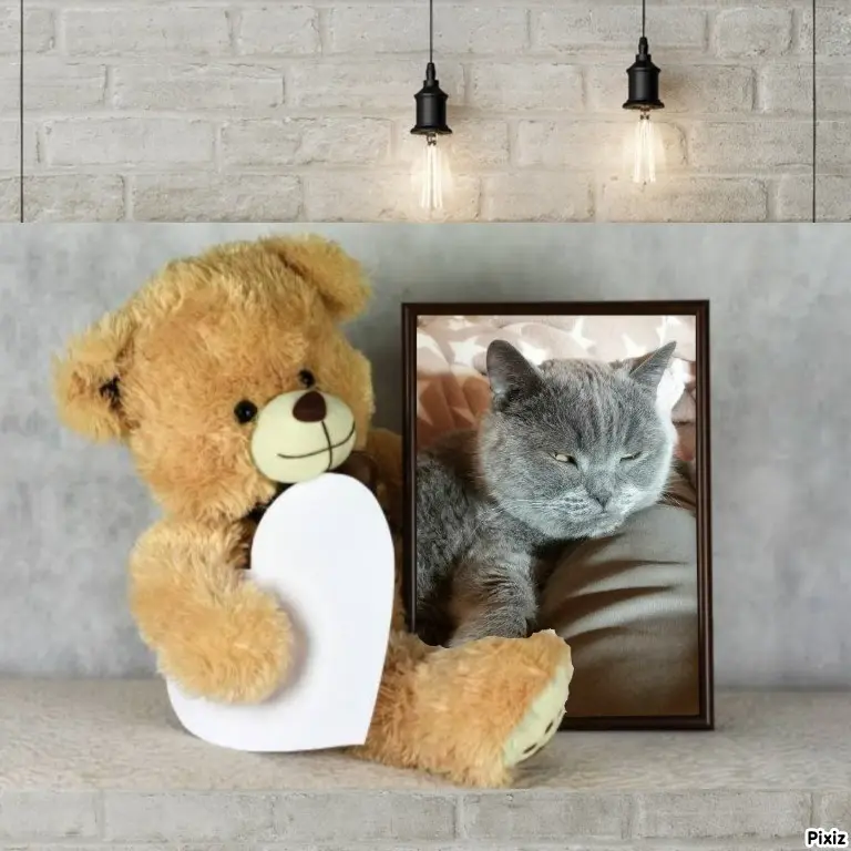 Condolence image of Tanja mit Timmy im Herzen