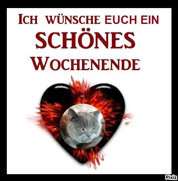 Condolence image of Tanja mit Timmy im Herzen