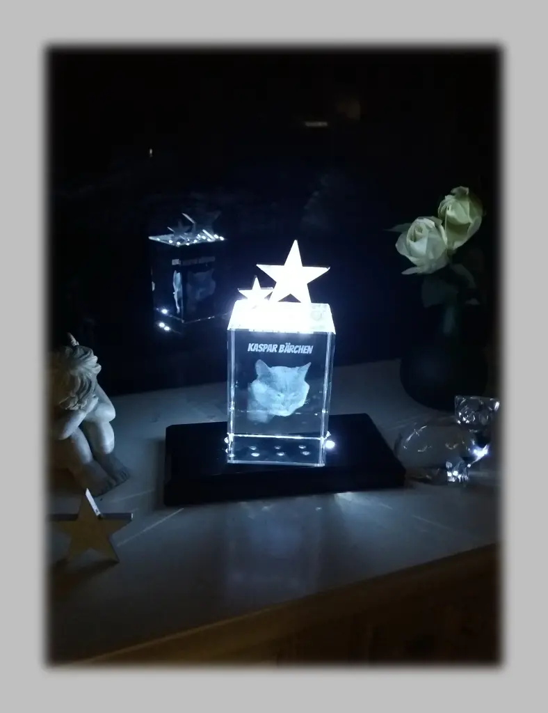 Condolence image of Frauchen☸ڿڰۣ❤️