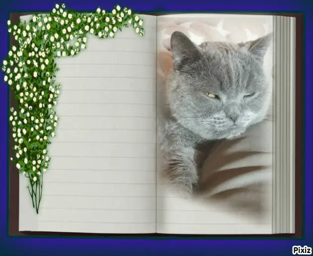 Condolence image of Tanja mit Timmy im Herzen